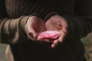 how much does a labiaplasty cost